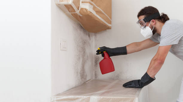 Professional Mold Testing technician working in Bayville, NY