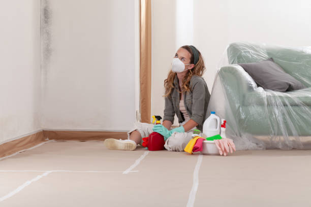 Reliable Mold Testing contractor in Bayville, NY by WQB Mold Removal